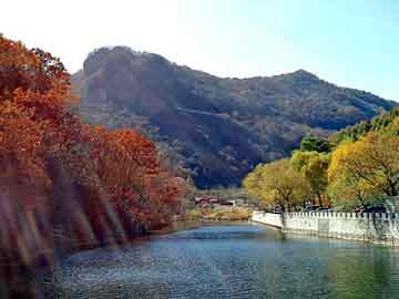 澳门精准大全正版网站，阿巴嘎旗太仆寺旗seo网站排名